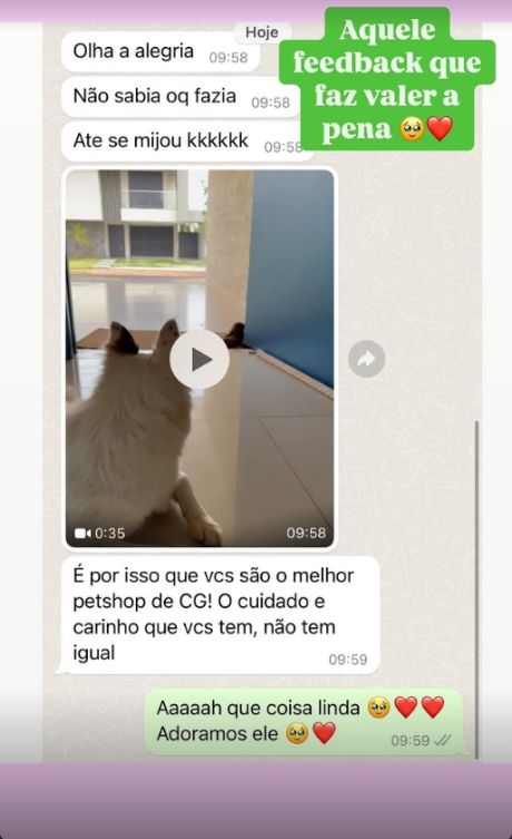 Print de WhatsApp: o melhor petshop de Campo Grande