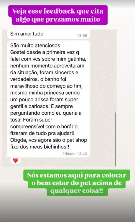 Print de WhatsApp: tutora elogia o banho da gatinha arisca
