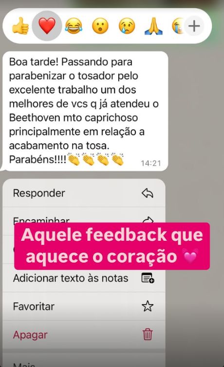 Print de WhatsApp: tutora parabeniza o tosador do Beethoven