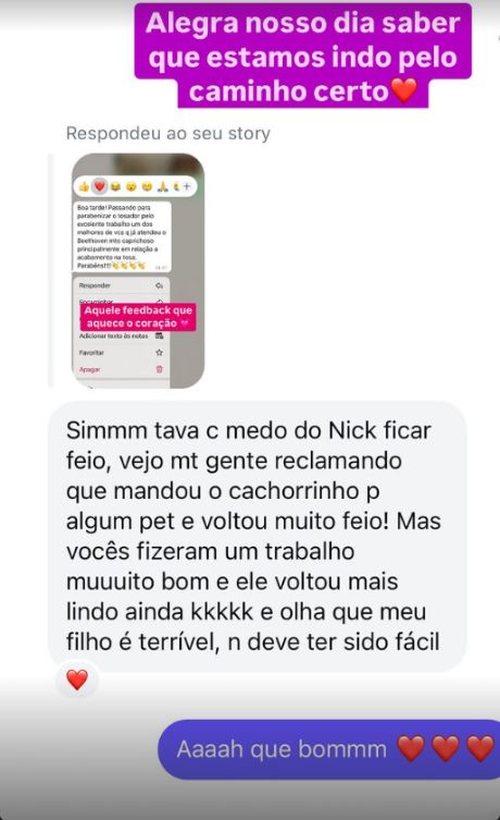 Print do Instagram: tutora do Nick elogia a tosa
