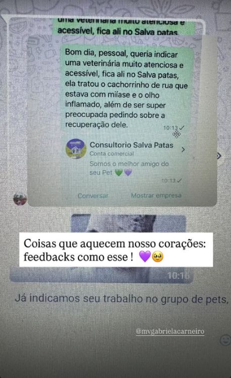 Print: indicação da veterinária em grupo de pets