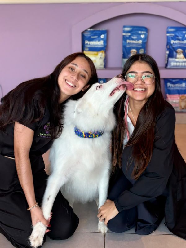 Equipe da Salva Patas abraçada a um cão branco peludo